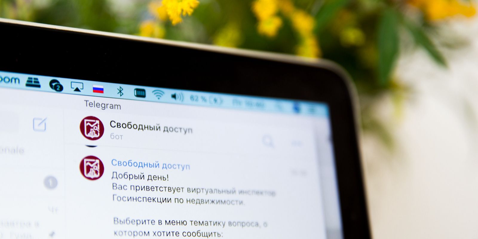 Чат-ботом «Свободный доступ» воспользовались около 1,7 тысячи москвичей